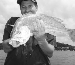 Jewfish of all sizes don’t mind hunting through murky floodwater. 